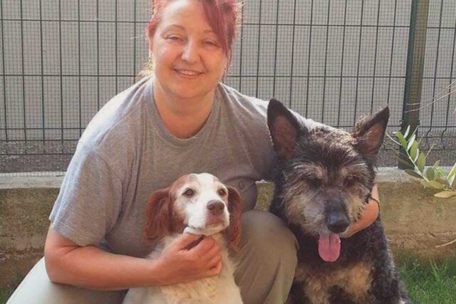 adozioni-cani-lombardia