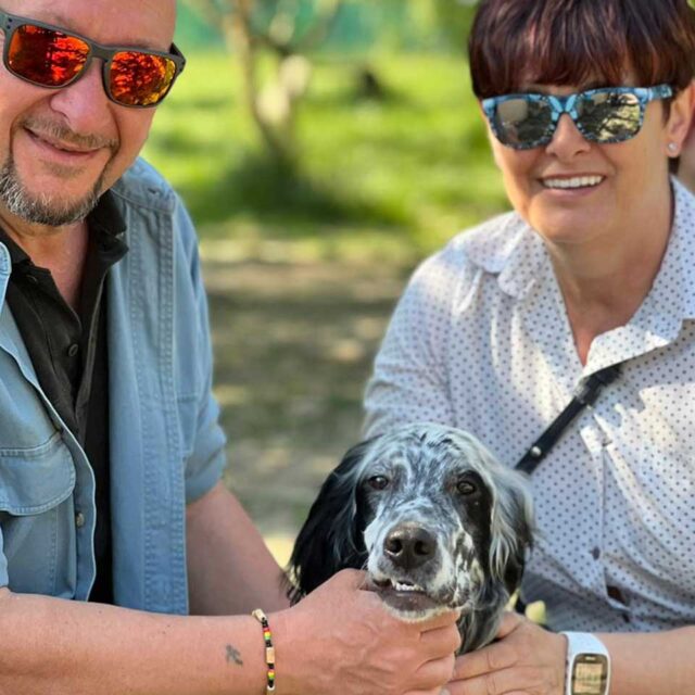 cani-da-caccia-da-adottare-a-milano